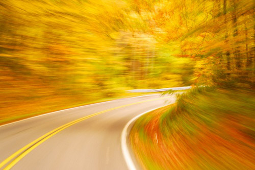 красивая дорога